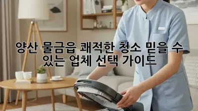 양산 물금읍 쾌적한 청소, 믿을 수 있는 업체 선택 가이드