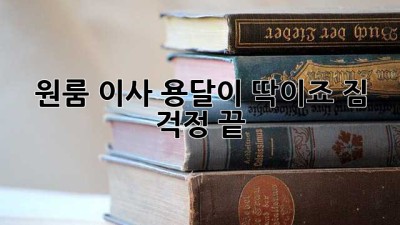 원룸 이사, 용달이 딱이죠! 짐 걱정 끝!